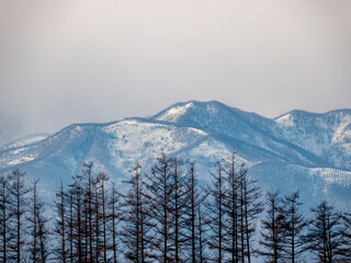 雪の十勝平野（北海道）