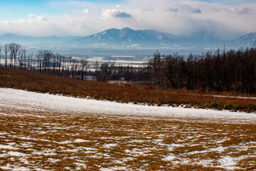 雪の十勝平野（北海道）