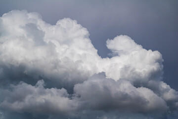 White cloud texture. Air material backdrop. Sky effect pattern.