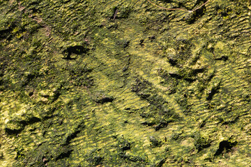 Stone abstract texture. Surface grunge backdrop. Dirty effect pattern. Material background.
