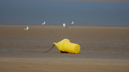 balise marine jaune