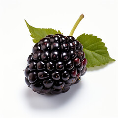 blackberry on a white background