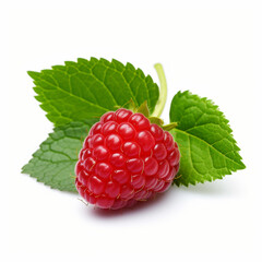 raspberry with leaf on white 