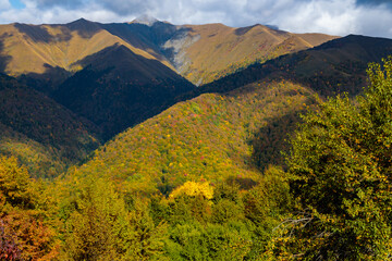 Sunny autumn in the mountains covered with bright colorful trees. Colorful landscape.