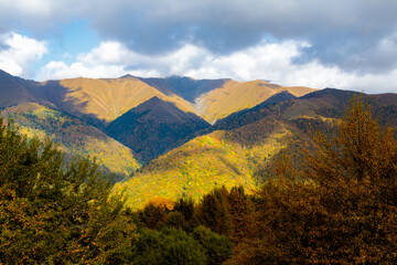 Sunny autumn in the mountains covered with bright colorful trees. Colorful landscape.