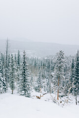 Obraz premium Beautiful snowy trees and mountains in the winter during sunset