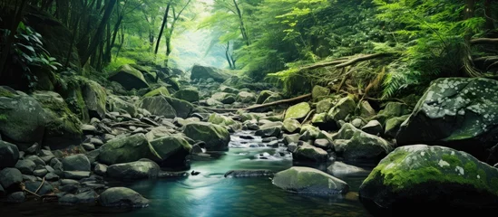 Zelfklevend Fotobehang In the summer the refreshing sound of water flowing through the forest adds to the natural beauty of the mountain where the tall trees and lush plants create a picturesque environment for h © TheWaterMeloonProjec
