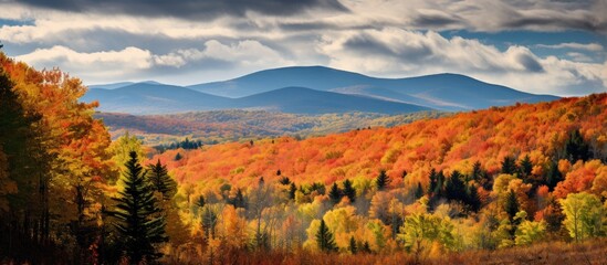 In the background of my travel adventure I was greeted with a breathtaking landscape of a forest in autumn where the majestic mountains and vibrant foliage of colorful leaves harmoniously b