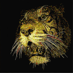  head of a tiger in front of black background