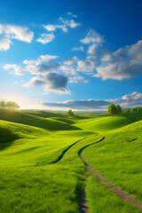 Obraz premium Panoramic spring landscape - picturesque winding path through a green grass field in hilly landscape with blue sky