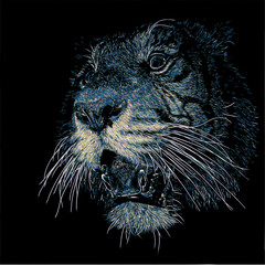 blue head of a tiger in front of black background