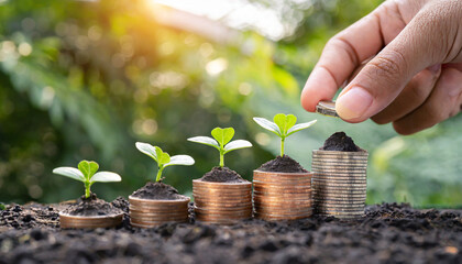 hand putting coins on stack and the seedlings are growing on top concept of green business finance and sustainability investment carbon credit money saving investment - obrazy, fototapety, plakaty