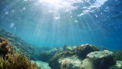 underwater sunlight through the water surface seen from a rocky seabed with algae generative ai