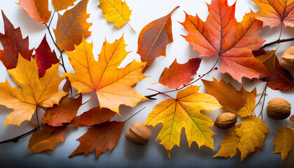 isolated autumn leaves background