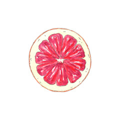 grapefruit,food,isolated,fruit,watercolor,illustration,natural,orange,tropical,red,vitamin,juicy,fresh,slice,organic,white,healthy,ripe,background,juice,vegetarian,cut,nature,diet,sweet,citrous,half,o