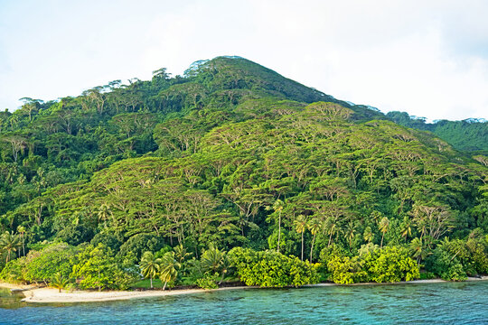 The lushly forested hills of the Polynesian island of Tahaa slope gently down to the Pacific Ocean.