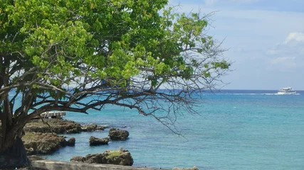 Wandaufkleber Seven Mile Beach, Grand Cayman Grand Cayman Waterfront with its beautiful clear turqoise water.
