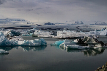 Obraz premium Blue in whiteness