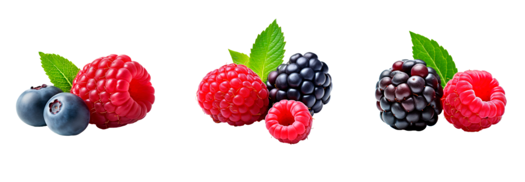 Red berries photography commercial icons on isolated transparent background