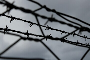 Grayscale of a fence with thorns on the background of a cloudy sky