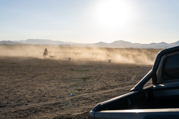 Silhouettes of cowboys with wild horses against a vibrant sunset, capturing the spirit of freedom...
