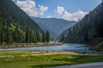 Picture of Mountain, Trees, River and Stream of adjoining areas of Kashmir. In this picture you can see the hill view along with stream and trees with beautiful scene of greenery on mountains - obrazy, fototapety, plakaty