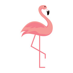 Isolated cute flamingo character Vector