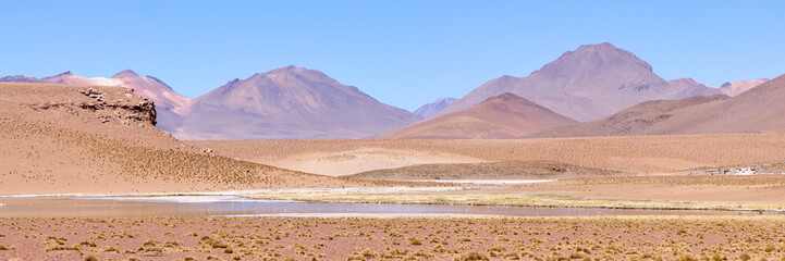 Bolivia, Avaroa National Park. Desert and mountain landscape with salt lakes and flamingos. In the foreground, Paja Bravas grass.