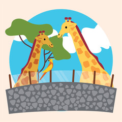 Pair of cute giraffes on a zoo Vector