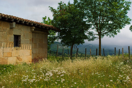 pastoral