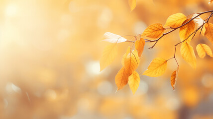 golden autumn background with leaves