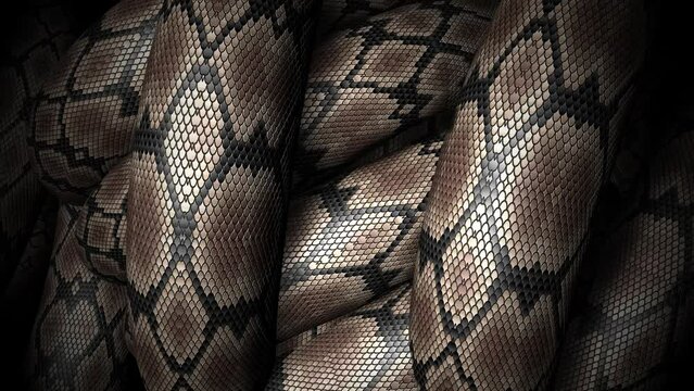 Close-up of a Snake Knot Loop on a seamless loop.