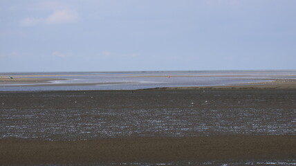 pointe des brevands