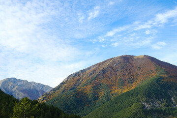 Mountain panorama covered half by autumnal orange and green trees in Pescasseroli, Abruzzo, Italy.