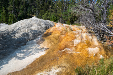 Orange Spring Mound near Mammoth Hot Springs, Yellowstone National Park