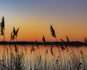 Bay Sunset