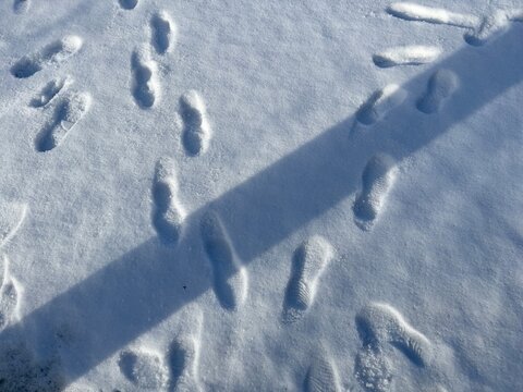 image of footprint on snow