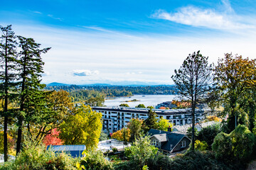 Viewpoint of Building in Front of the Willamette River During Fall in Portland, OR