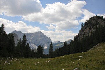 Mesmerizing shot of montane forest with pine trees, with rugged and rocky mountains on the horizon