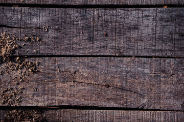 Wood Texture Background, Planks of tree close up