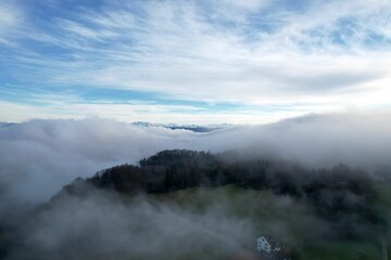 Aerial shot of a forest of evergreen trees and a house covered in fog under the blue sky