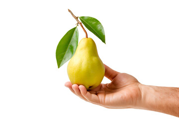 Hand holding pear over isolated transparent background