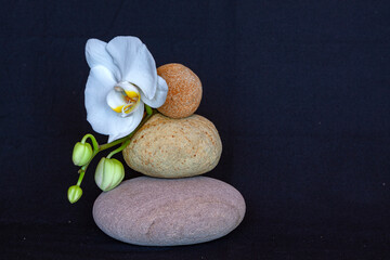 zen stones and flower - 676600638