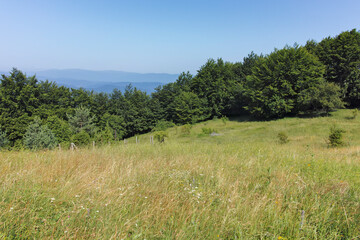 Landscape of Erul mountain near Kamenititsa peak, Bulgaria