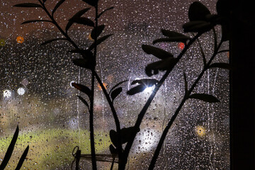 Rain drops on window glass at night with town street blurred bokeh lights. Black silhouettes of houseplants on windowsill