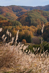 山里の秋の風景