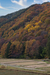 山里の秋の風景