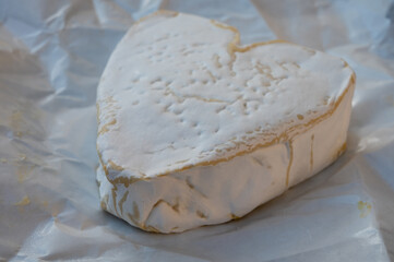 Cheese collection, French cheese from Normandy region, heart-shaped neufchatel close up