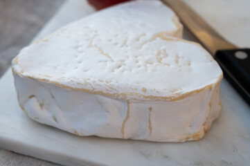 Fototapeta na wymiar Cheese collection, French cheese from Normandy region, heart-shaped neufchatel close up