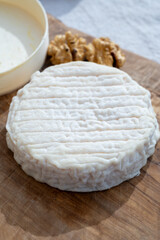 Cheese collection, French Perail les Buissieres cheese made from sheep milk from Aveyron, France close up